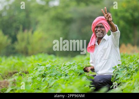 Cowpea semi che coltivano, coltivatore indiano felice, coltivatore povero Foto Stock