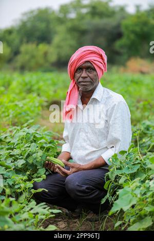 Cowpea semi che coltivano, coltivatore indiano felice, coltivatore povero Foto Stock