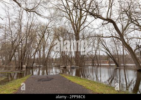 Alluvione primaverile del fiume Mississippi a nord di Minneapolis in Fridley Minnesota Aprile 2023 Foto Stock