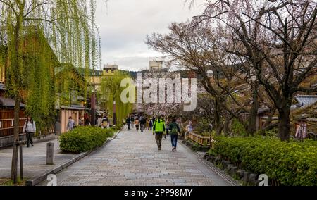 Kyoto, Giappone - 24 marzo 2023: La gente gode i fiori di ciliegio (sakura) nel centro di Kyoto-città, Giappone Foto Stock