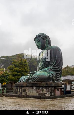 Kamakura, Giappone - 23 marzo 2023: Tempio Kotoku-in, Grande Buddha di Kamakura, Giappone Foto Stock