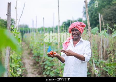 Coltivatore indiano che tiene in mano il pomodoro, coltivatore felice Foto Stock