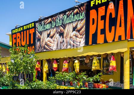 Trappola turistica della Florida con Citrus del fiume Indiano, noci pecan fresche, gator jerky, fuochi d'artificio e souvenir lungo la i-95 e la US 1 a St Augustine, Florida. Foto Stock