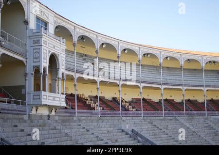 Toros de Plaza, Madrid Spagna Foto Stock