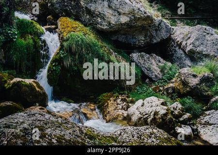 Cascate del fiume Cholet nelle Alpi francesi, vicino a Pont en Royans nella catena montuosa del Vercors Foto Stock