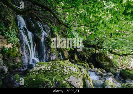 Cascate del fiume Cholet nelle Alpi francesi, vicino a Pont en Royans nella catena montuosa del Vercors Foto Stock