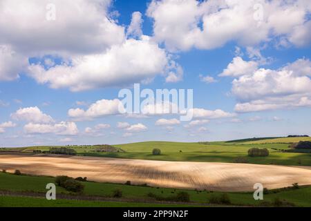 Splendida vista che guarda a est sul sud giù dalla periferia di Stamner Park est Sussex sud est Inghilterra Foto Stock