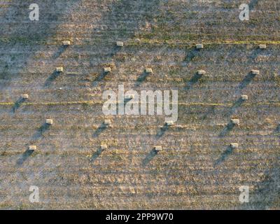 vista aerea di un campo appena raccolto punteggiato di fienate durante il tramonto. È perfetto per illustrare il processo agricolo e la bellezza di Foto Stock