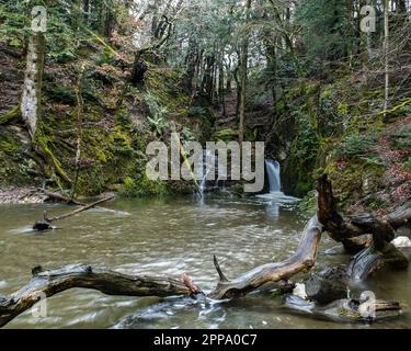 Cascata di Ffynone Foto Stock