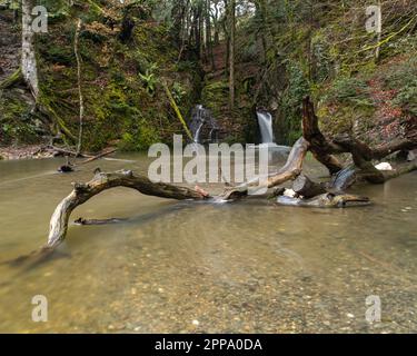 Cascata di Ffynone Foto Stock