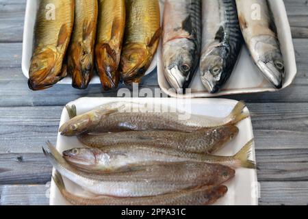 Vari tipi di pesci crudi di sgombro, Saurida undosquamis, il lucertola brushtooth, grinner su larga scala o saraceno largescale e salato affumicato Foto Stock