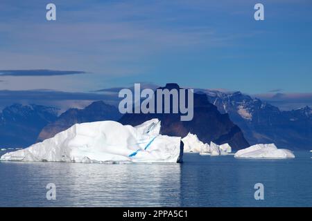 Groenlandia, iceberg nel fiordo di Uummannaq, il grande sistema di fiordi nella parte settentrionale della Groenlandia occidentale Foto Stock