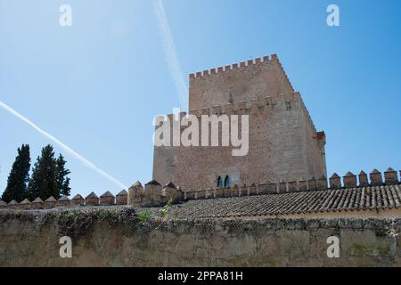 Ex castello di Enrique II de Trastámara. Un imponente complesso difensivo dominato dalla Torre del Homenaje o Torrione, così come il battlemen Foto Stock