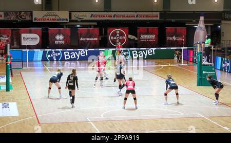 Pallavolo 2. Bundesliga Nord Frauen. Bayer volleys - Stralsunder Wildcats 22.04.2023, Meisterschaftsentscheidung. Foto Stock