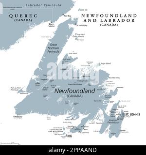 Isola di Terranova, mappa politica grigia. Parte della provincia canadese di Terranova e Labrador con la capitale St. Johns. Foto Stock