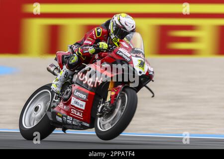 ASSEN - Alvaro Bautista (SPA) sulla sua Ducati durante la gara mondiale Superbike sul TT Circuit Assen. ANP VINCENT JANNINK Foto Stock