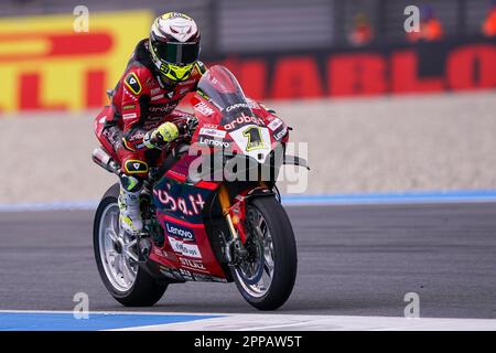 Assen, Paesi Bassi. 23rd Apr, 2023. ASSEN, PAESI BASSI - 23 APRILE: Alvaro Bautista di Spagna e Aruba.it Racing - Ducati in gara durante la gara WorldSBK 2 durante il Campionato del mondo FIM Superbike Pirelli Dutch Round il 23 aprile 2023 ad Assen, Paesi Bassi (Foto di Andre Weening/Orange Pictures) Credit: Orange Pics BV/Alamy Live News Foto Stock