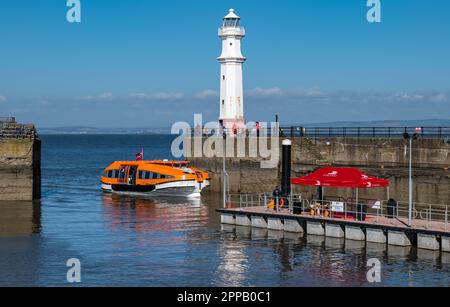 Nave da crociera Viking con tender in arrivo al molo di Newhaven Harbour, Edimburgo, Scozia, Regno Unito Foto Stock