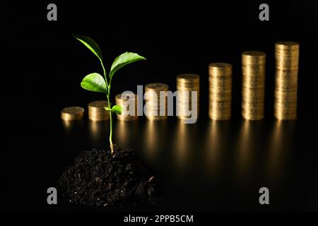 Germoglio verde nel terreno sullo sfondo di pile di monete Foto Stock