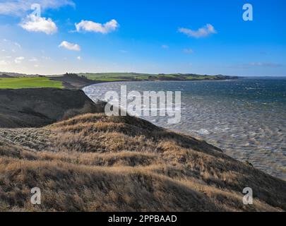 Flade, Danimarca. 30th Jan, 2023. Vista dalla scogliera Hanklit sul lato nord-est dell'isola di Morsö. Hanklit sorge a circa 61 metri sopra il Limfjord. Credit: Patrick Pleul/dpa/Alamy Live News Foto Stock
