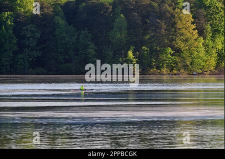 Club di canottaggio su un lago fermo Foto Stock