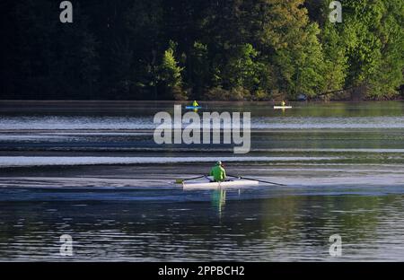 Club di canottaggio su un lago fermo Foto Stock