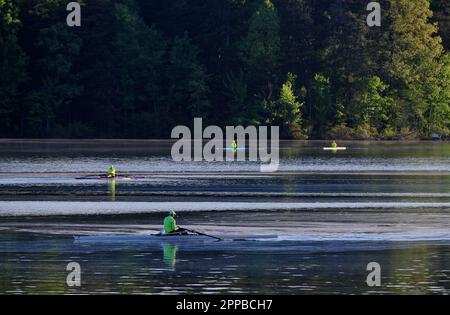 Club di canottaggio su un lago fermo Foto Stock