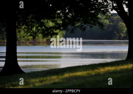 Club di canottaggio su un lago fermo Foto Stock