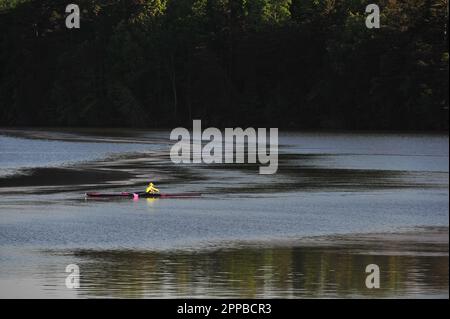 Club di canottaggio su un lago fermo Foto Stock