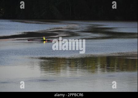 Club di canottaggio su un lago fermo Foto Stock