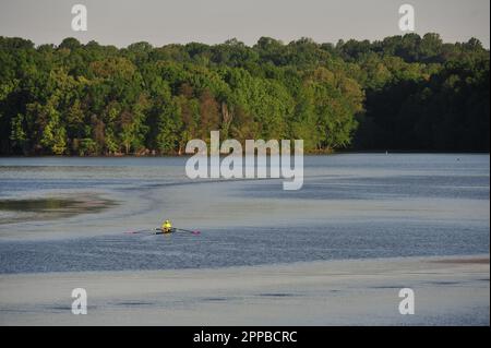 Club di canottaggio su un lago fermo Foto Stock