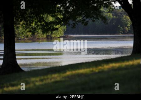 I vogatori di mattina presto sul lago Foto Stock