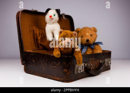 due teddie all'interno di una piccola custodia vintage con accessori aggiuntivi Foto Stock