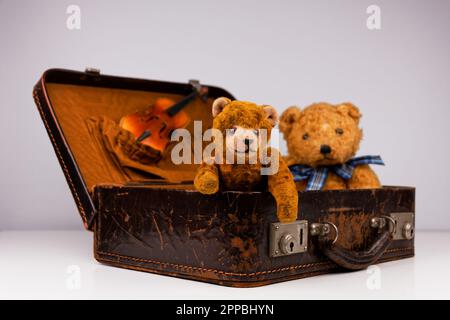 due teddie all'interno di una piccola custodia vintage con accessori aggiuntivi Foto Stock