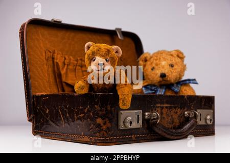 due teddie all'interno di una piccola custodia vintage con accessori aggiuntivi Foto Stock