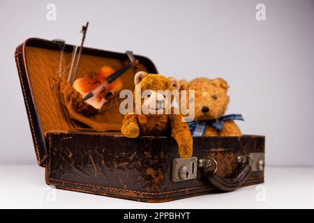 due teddie all'interno di una piccola custodia vintage con accessori aggiuntivi Foto Stock