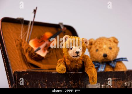 due teddie all'interno di una piccola custodia vintage con accessori aggiuntivi Foto Stock