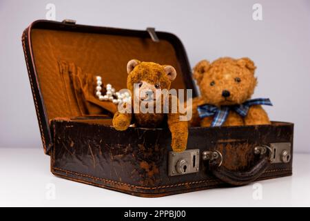 due teddie all'interno di una piccola custodia vintage con accessori aggiuntivi Foto Stock