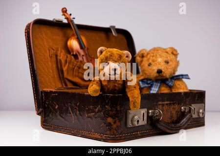 due teddie all'interno di una piccola custodia vintage con accessori aggiuntivi Foto Stock