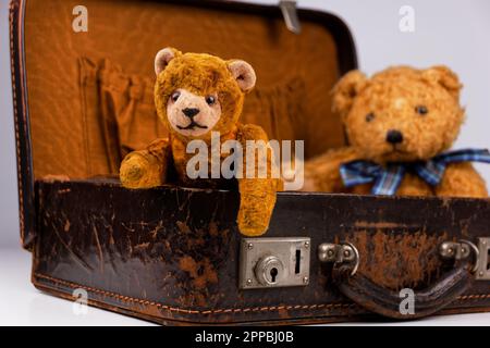 due teddie all'interno di una piccola custodia vintage con accessori aggiuntivi Foto Stock