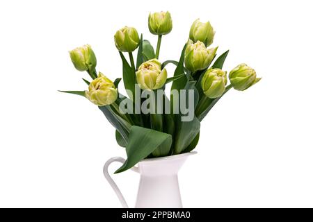 Elegante e morbido bouquet primaverile di tulipani veronesi in vaso bianco su fondo bianco. Tulipani primaverili. Taglio al bouquet di tulipani. Foto Stock