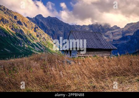 Bellissimo paesaggio rurale nelle montagne polacche. Rifugio di montagna in legno nella valle di Gasienicowa nei Monti Tatra polacchi. Foto Stock