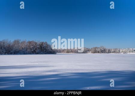 vista innevata su un lago di campagna ghiacciato con alberi sulla riva Foto Stock