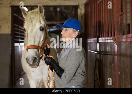 Donna anziana rancher carezzare cavallo bianco dopo l'equitazione Foto Stock