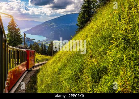 Treno turistico rosso che va da Wilderswil, vicino Interlaken ai famosi giardini di fiori selvatici della Schynige Platte, Svizzera. Il treno retrò si muove f Foto Stock