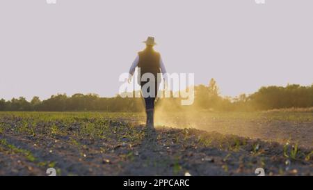 Vista posteriore del coltivatore maschio in stivali di gomma che cammina sul campo attraverso piccoli germogli verdi di grano. Uomo agronomo passo sul terreno secco presso la propria fattoria Foto Stock