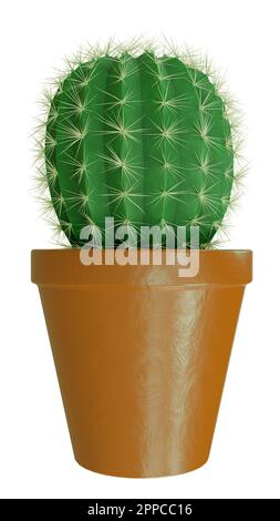 Cactus in recipiente di argilla isolato su sfondo bianco dettagli di alta qualità rendering -3D Foto Stock