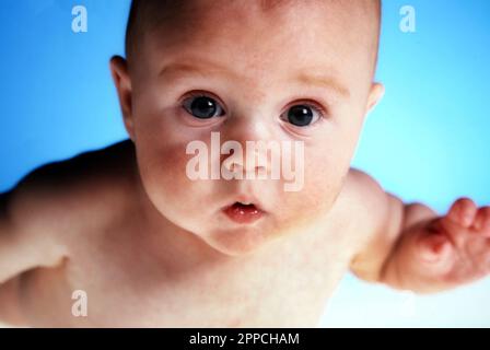 Ritratto ravvicinato di un bambino molto curioso su un semplice sfondo blu Foto Stock