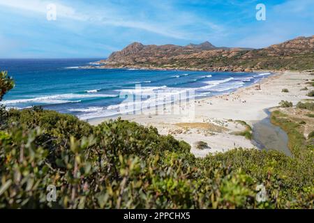 Impressionante paesaggio di dune di sabbia sulla bellissima spiaggia di Ostriconi, Desert des Agriates, Corsica isola, Francia Foto Stock