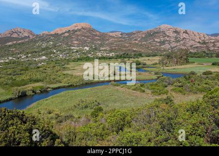 Campi, - fiume, e paesaggio prato alla spiaggia l'Ostriconi, Desert des Agriates, Corsica isola, Francia Foto Stock